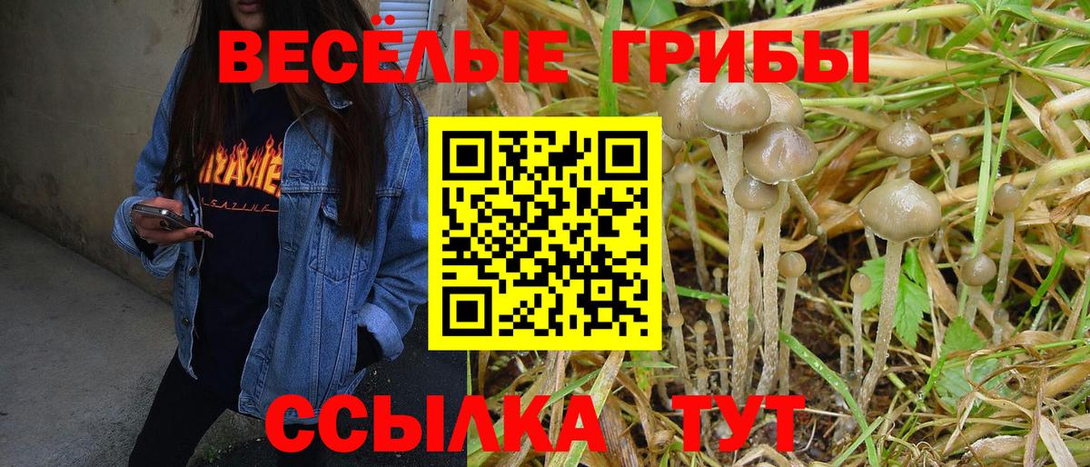 Псилоцибиновые грибы MAGIC MUSHROOMS  Галлюциногенные грибы GOLDEN TEACHER  Вход с VPN  Морозовск 